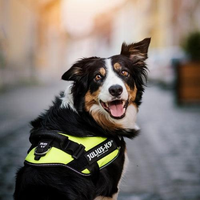 harnais-anti-traction-chien