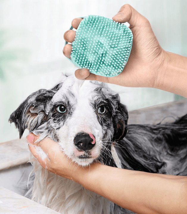 Brosse Ovanor Pour Chien - 2 Pièces, élimine Les Poils Morts Sans Irriter (pour Poils Courts/moyens)