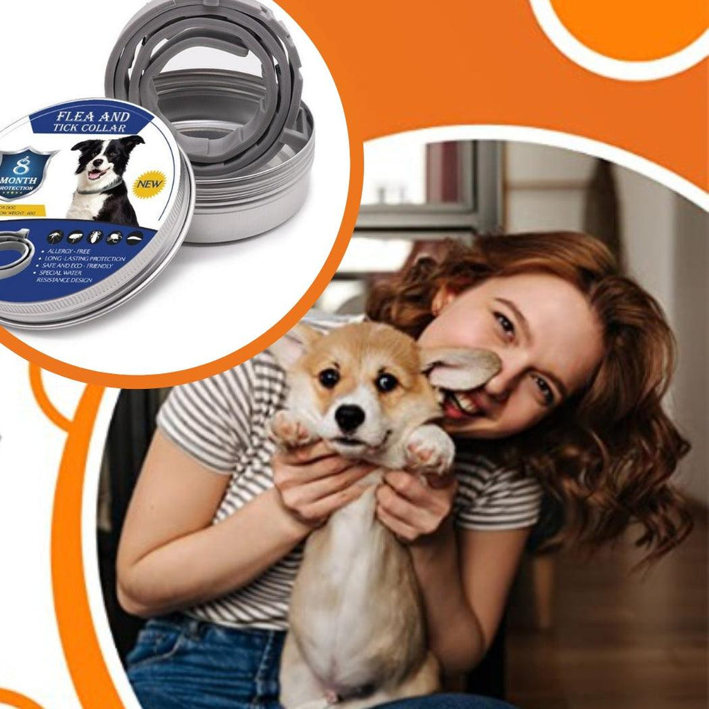 Collier Anti-puce Et Anti-tique Naturel Pour Chien - Protection 8 Mois - Sans Odeur, Résistant à L'eau - Toutes Tailles - Gris