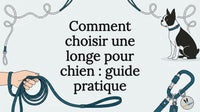 Carte illustrée au design soigné pour mettre en valeur une laisse pour chien