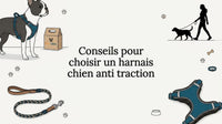 Carte décorative illustrée mettant en scène un chien avec son harnais
