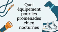 Titre mis en valeur par des illustrations mettant en scène un chien, un collier lumineux et une laisse