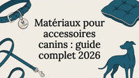Visuel décoratif pour illustrer un article sur les accessoires pour chiens