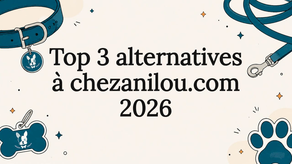 Top 3 alternatives à chezanilou.com 2026