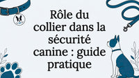 Carte d’ornement illustrée d’un motif de collier pour chien