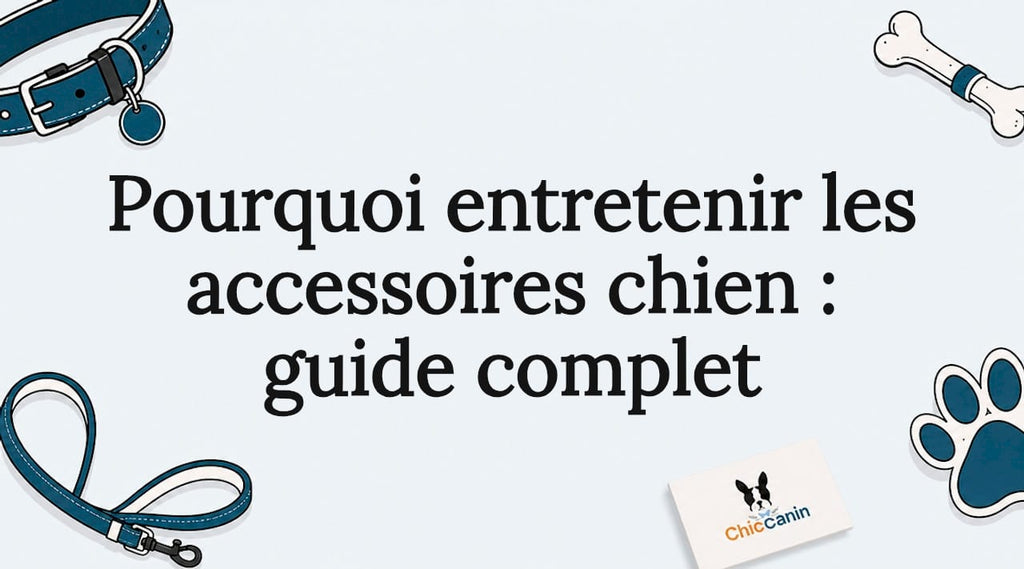 Pourquoi entretenir les accessoires chien : guide complet
