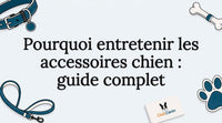 Une illustration mettant en valeur le titre de notre article dédié aux accessoires pour chiens.