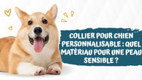 Collier-pour-chien-personnalisable-quel-matériau 