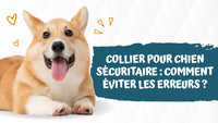 Collier-pour-chien-sécuritaire