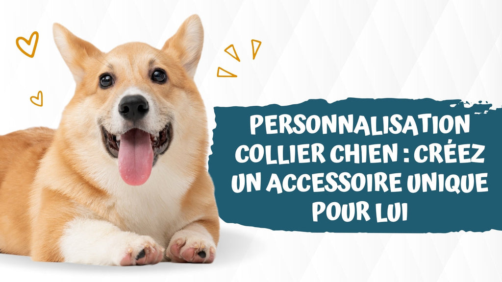 Personnalisation collier chien : Créez un accessoire unique pour lui