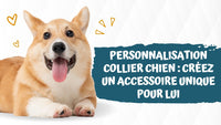 Personnalisation collier chien : Créez un accessoire unique pour lui