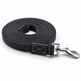 Longe pour petit chien