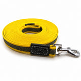 Longe pour petit chien
