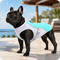 FreshVest™ | Gilet Rafraîchissant pour Chien