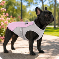 FreshVest™ | Gilet Rafraîchissant pour Chien