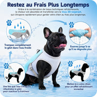 FreshVest™ | Gilet Rafraîchissant pour Chien