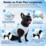 FreshVest™ | Gilet Rafraîchissant pour Chien