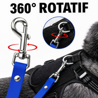 Longe chien 15m