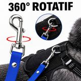 Longe chien 15m