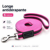 Longe pour petit chien