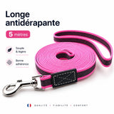 Longe pour petit chien