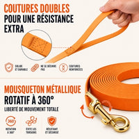 Longe chien 5m