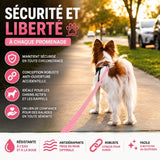 Longe pour chien PVC