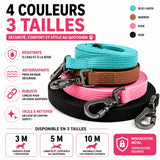 Longe pour chien PVC