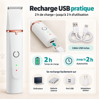 Tondeuse 4-en-1 pour chien