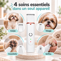 Tondeuse 4-en-1 pour chien
