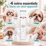 Tondeuse 4-en-1 pour chien
