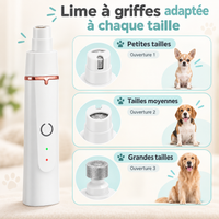 Tondeuse 4-en-1 pour chien