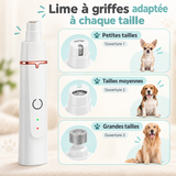 Tondeuse 4-en-1 pour chien
