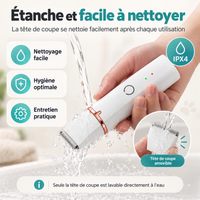 Tondeuse 4-en-1 pour chien