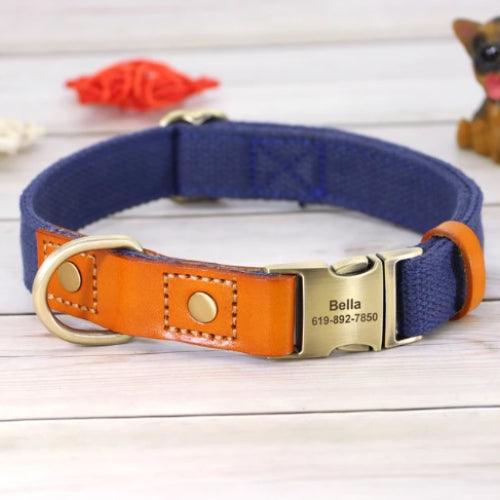 Collier-chien-grave-bleu