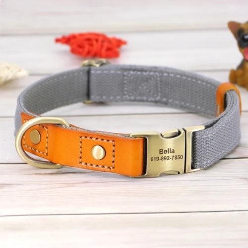 Collier-chien-grave-gris