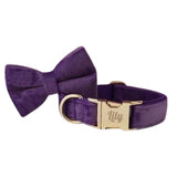 Collier-chien-personnalise-violet