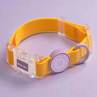 Collier chien imperméable jaune