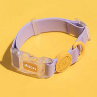 Collier chien imperméable pourpre