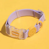 Collier chien imperméable pourpre
