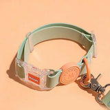 Collier chien imperméable vert