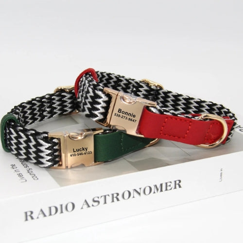 Collier-chien-personnalise-elegant