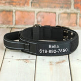 Collier-chien-personnalise-noir