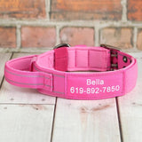 Collier-chien-personnalise-rose
