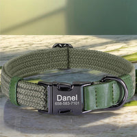 Collier-chien-personnalisé-vert