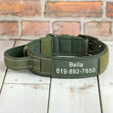 Collier-chien-personnalise-vert