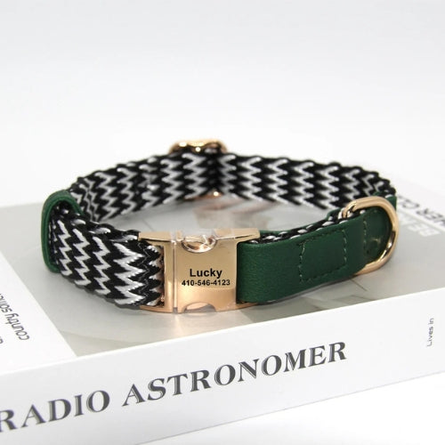 Collier-chien-personnalise-vert