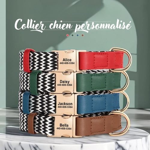 Collier-chien-personnalise