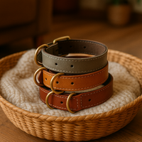 Collier-cuir-chien-personnalise-confortable