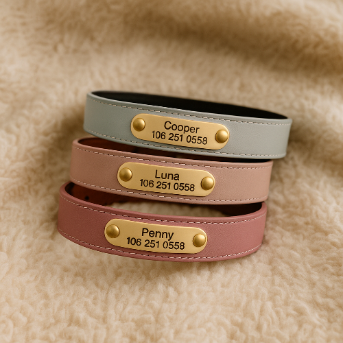 Collier-cuir-chien-personnalise-grave